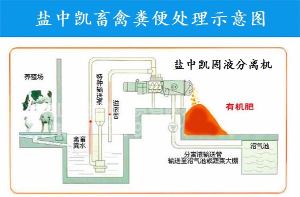 青青草视频app最新地址