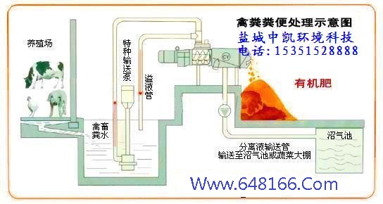 青青草视频app污版下载示意图